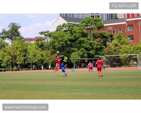 深入分析成都排球队边路渗透战术的优势与应用策略 深入分析成都排球队边路渗透战术的优势与应用策略