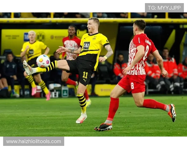 多特蒙德足球俱乐部历史与现状解析及未来发展趋势展望 多特蒙德足球俱乐部历史与现状解析及未来发展趋势展望