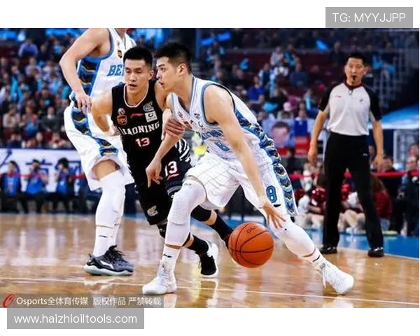 季后赛精彩对决辽宁队与浙江队央视录像回放全程回顾与精彩瞬间分析